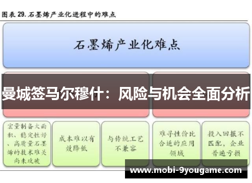 曼城签马尔穆什：风险与机会全面分析