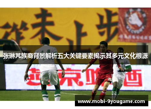 张琳芃族裔背景解析五大关键要素揭示其多元文化根源