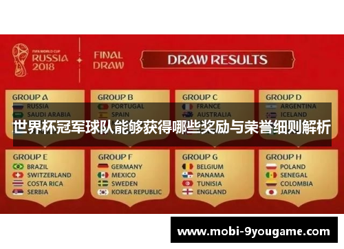 世界杯冠军球队能够获得哪些奖励与荣誉细则解析