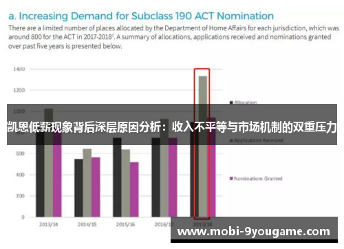 凯恩低薪现象背后深层原因分析：收入不平等与市场机制的双重压力